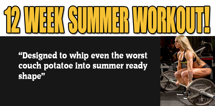 12 Week Bodybuilding Summer Workout